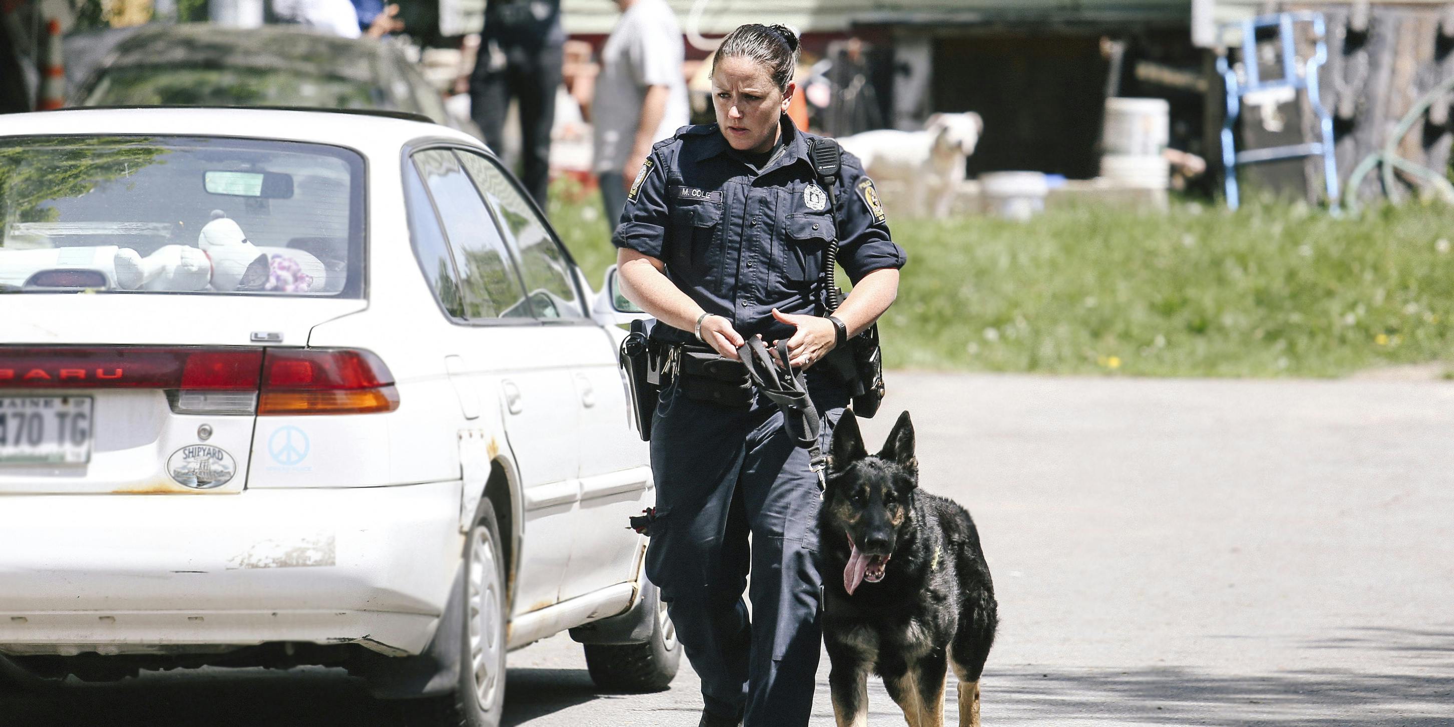 Police officer leads drug dog on search outside a home in Portland, Maine.