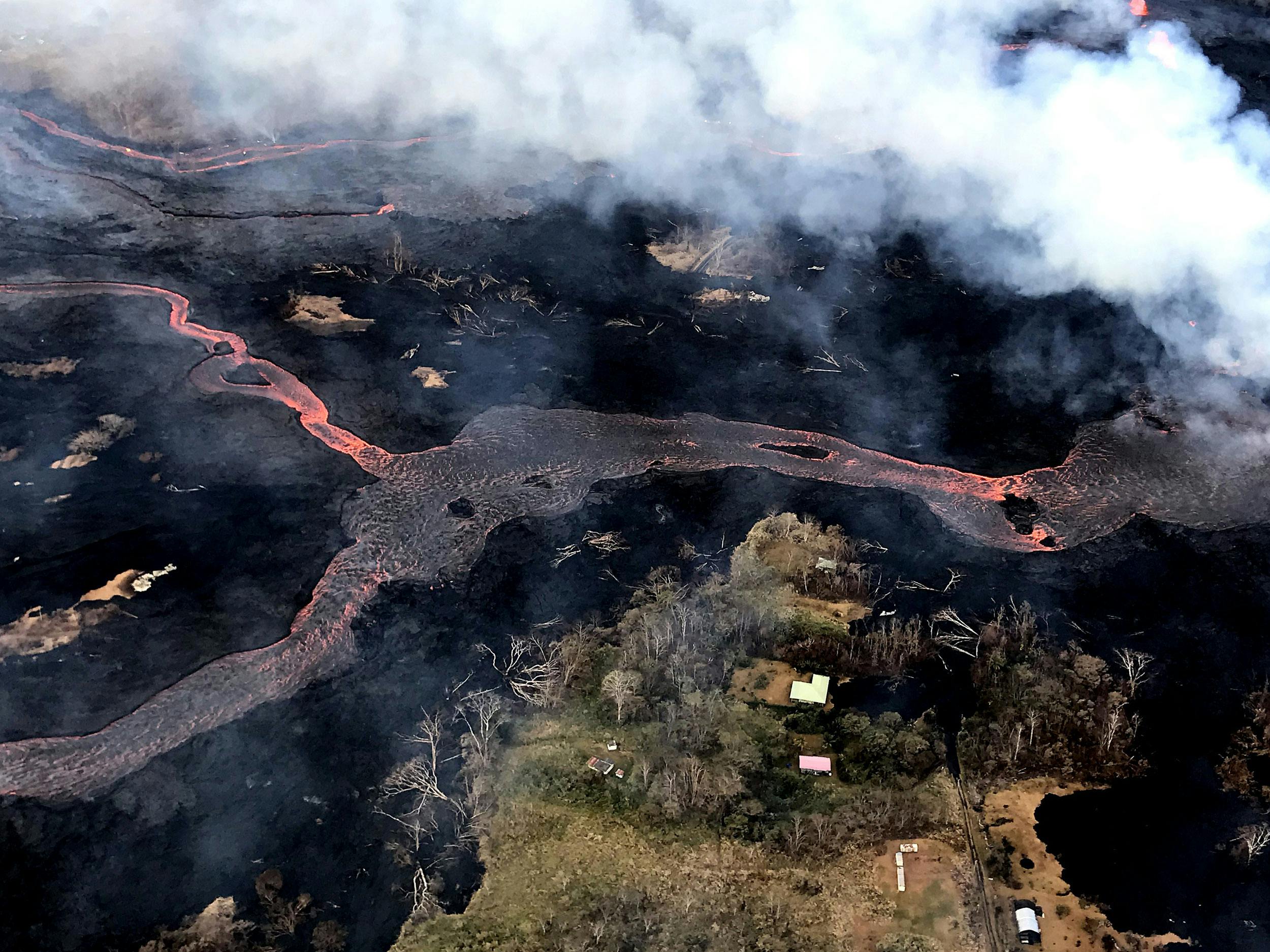 Hawaiian Cannabis Farmers Refuse to Leave Crops Amid Spreading Volcanic Lava1 Investigation: Hospitals Are Denying Organ Transplants To Marijuana Patients