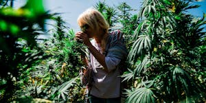 These Cannabis Pioneers Fear Legalization Will Leave Them Behind