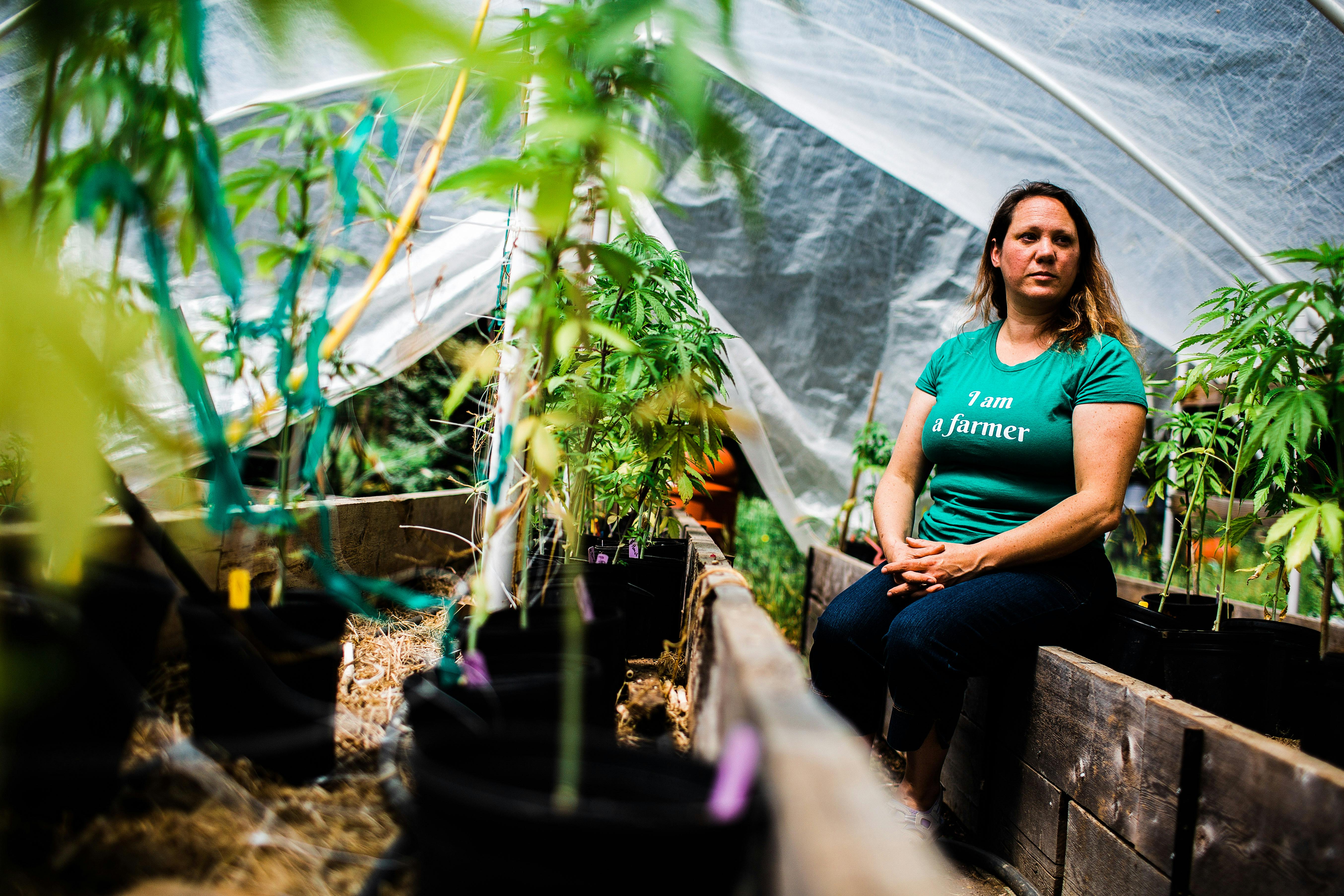 Humbolt County Cannabis Farmers 1 of 7 Investigation: Hospitals Are Denying Organ Transplants To Marijuana Patients