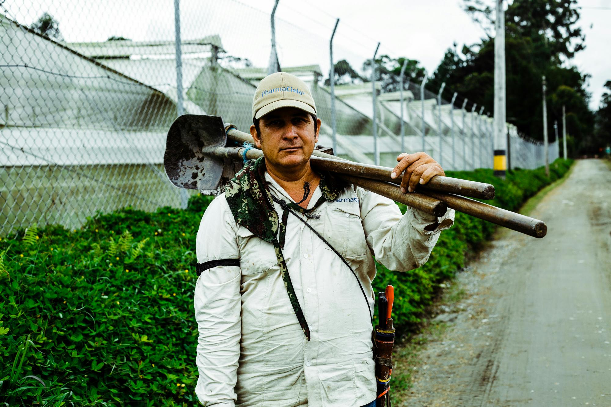 Pharmacielo could become a leader in the global medical cannabis market 1 We Visited the Small Town in Colombia That Will Supply the World With Weed