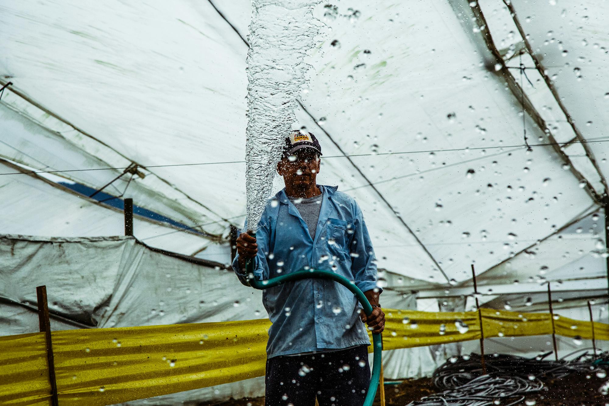 Pharmacielo could become a leader in the global medical cannabis market 26 We Visited the Small Town in Colombia That Will Supply the World With Weed