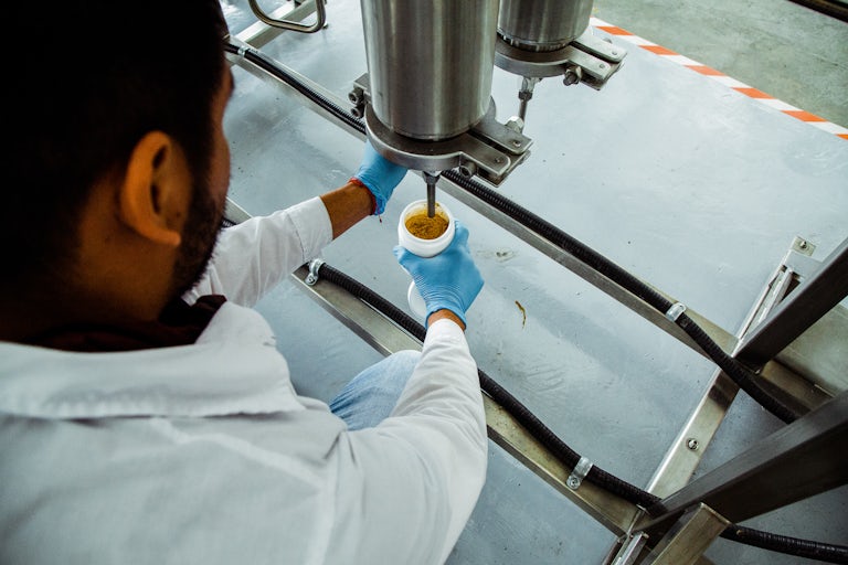Pharmacielo bisa menjadi pemimpin di pasar ganja medis global 28 Kami Mengunjungi Kota Kecil di Kolombia yang Akan Menyediakan Dunia Dengan Ganja
