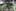 Police Raid 6 Grow Houses Seize 2500 Plants In Washington State This Is How California Is Destroying $350 Million Worth Of Weed