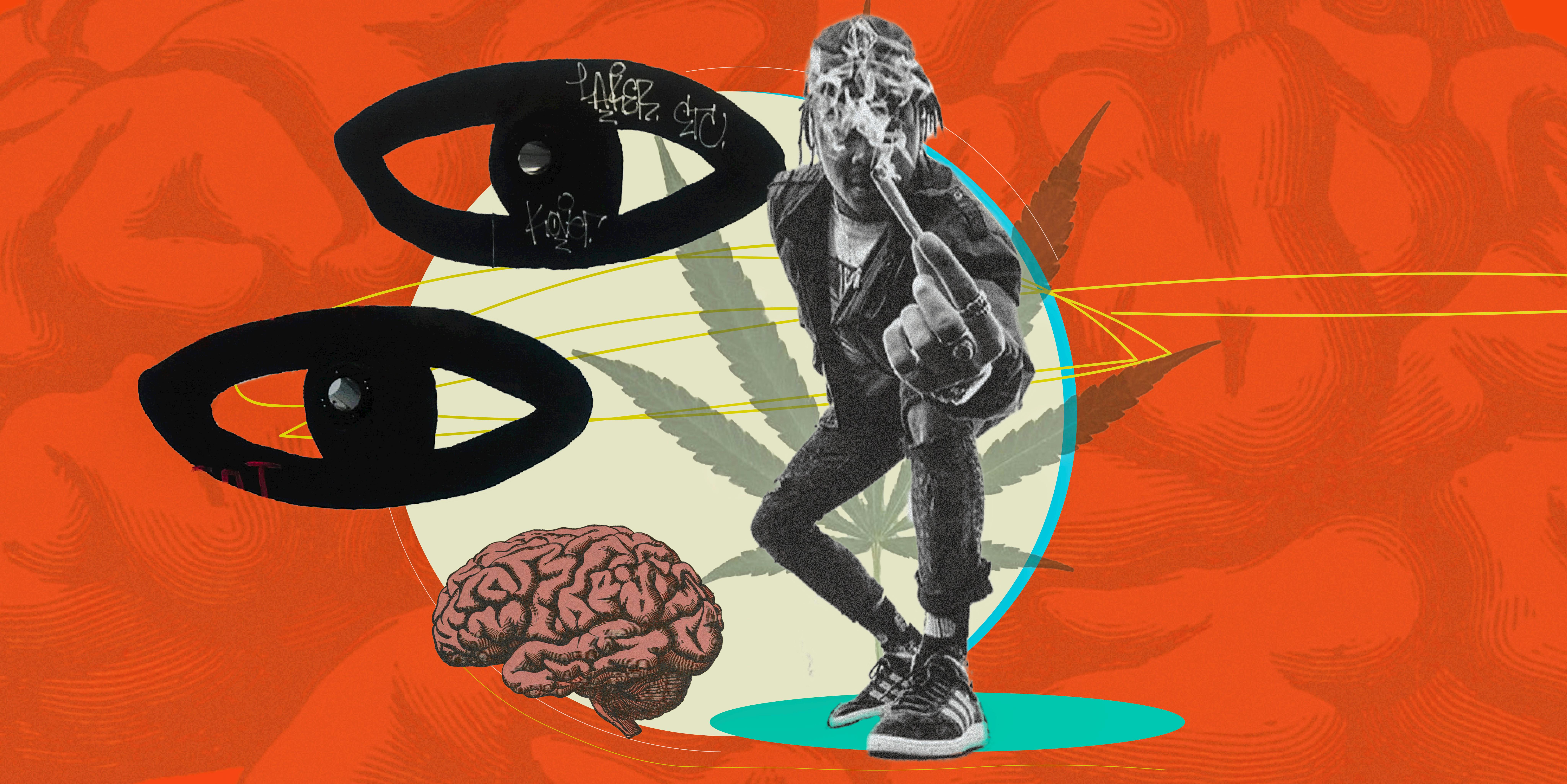 When It Comes To Cannabis Studies, Trust No One