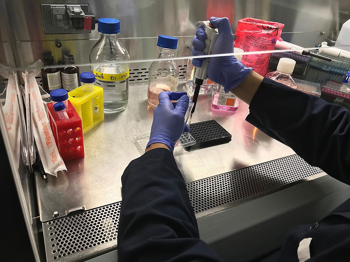 Ebbu Profile1 Maine Pageant Winner Stripped of Title Due to Cannabis Use