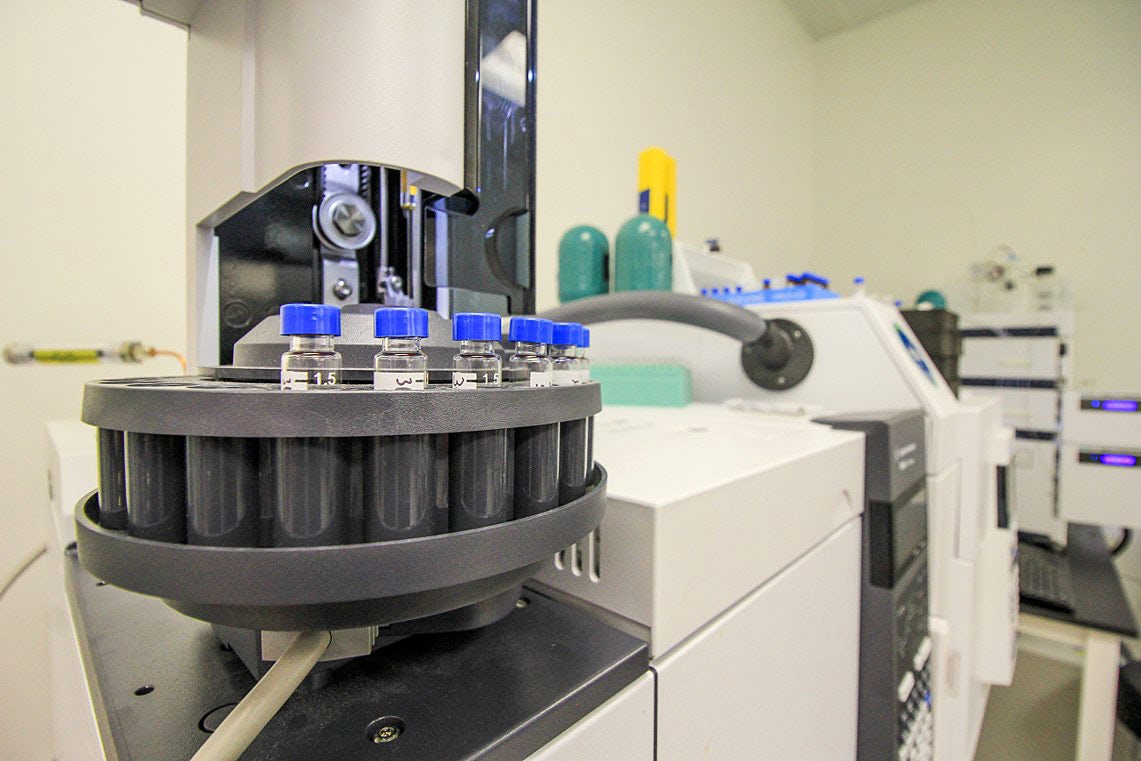 Ebbu Profile4 Maine Pageant Winner Stripped of Title Due to Cannabis Use