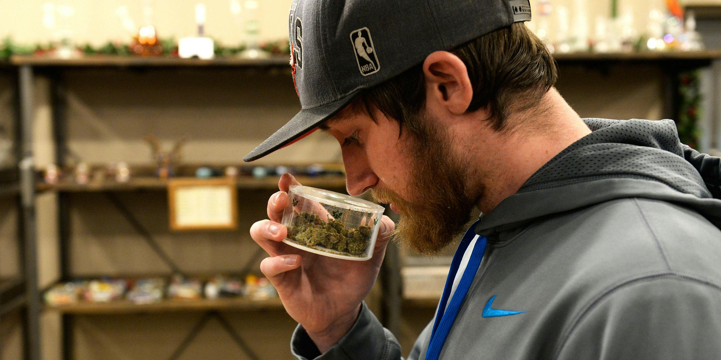 Man sniffs cannabis sample at first retail shop in Massachusetts