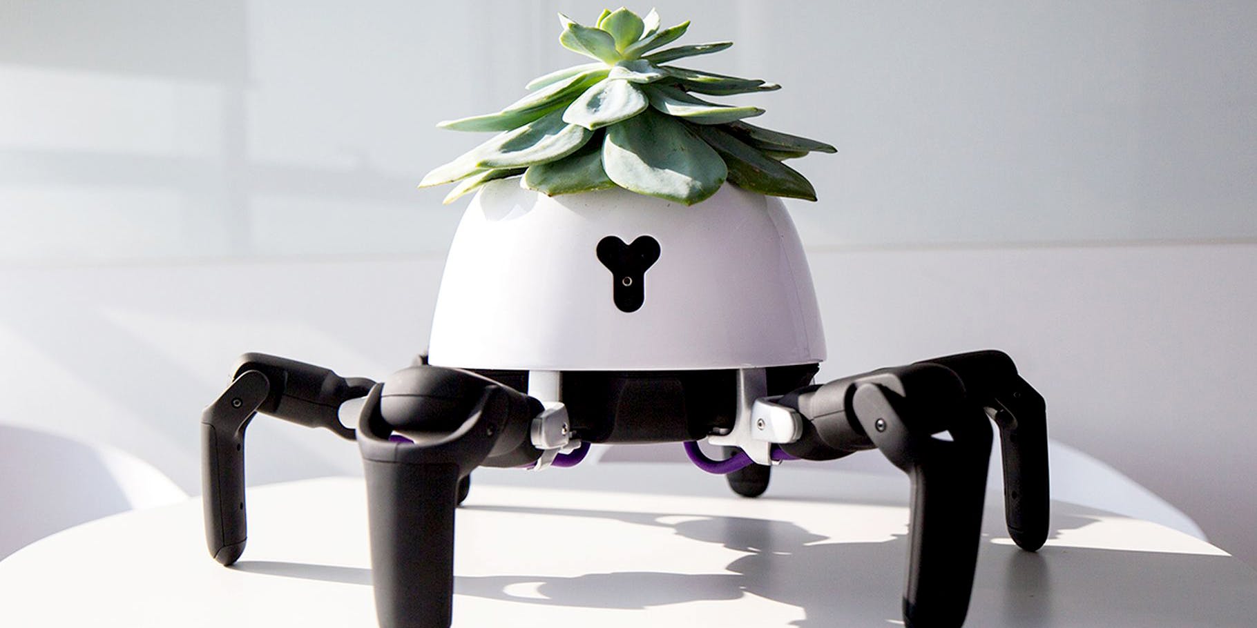 The World's Cutest Robot Will Move Your Plant In And Out Of The Sun