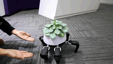I For One Welcome Our New Robot Plant Overlords4 Best 420 Vacation Ideas for Under $200