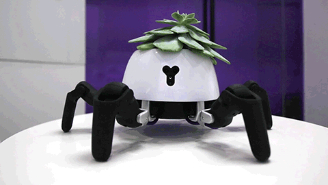 I For One Welcome Our New Robot Plant Overlords5 Best 420 Vacation Ideas for Under $200