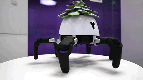 I For One Welcome Our New Robot Plant Overlords6 Best 420 Vacation Ideas for Under $200