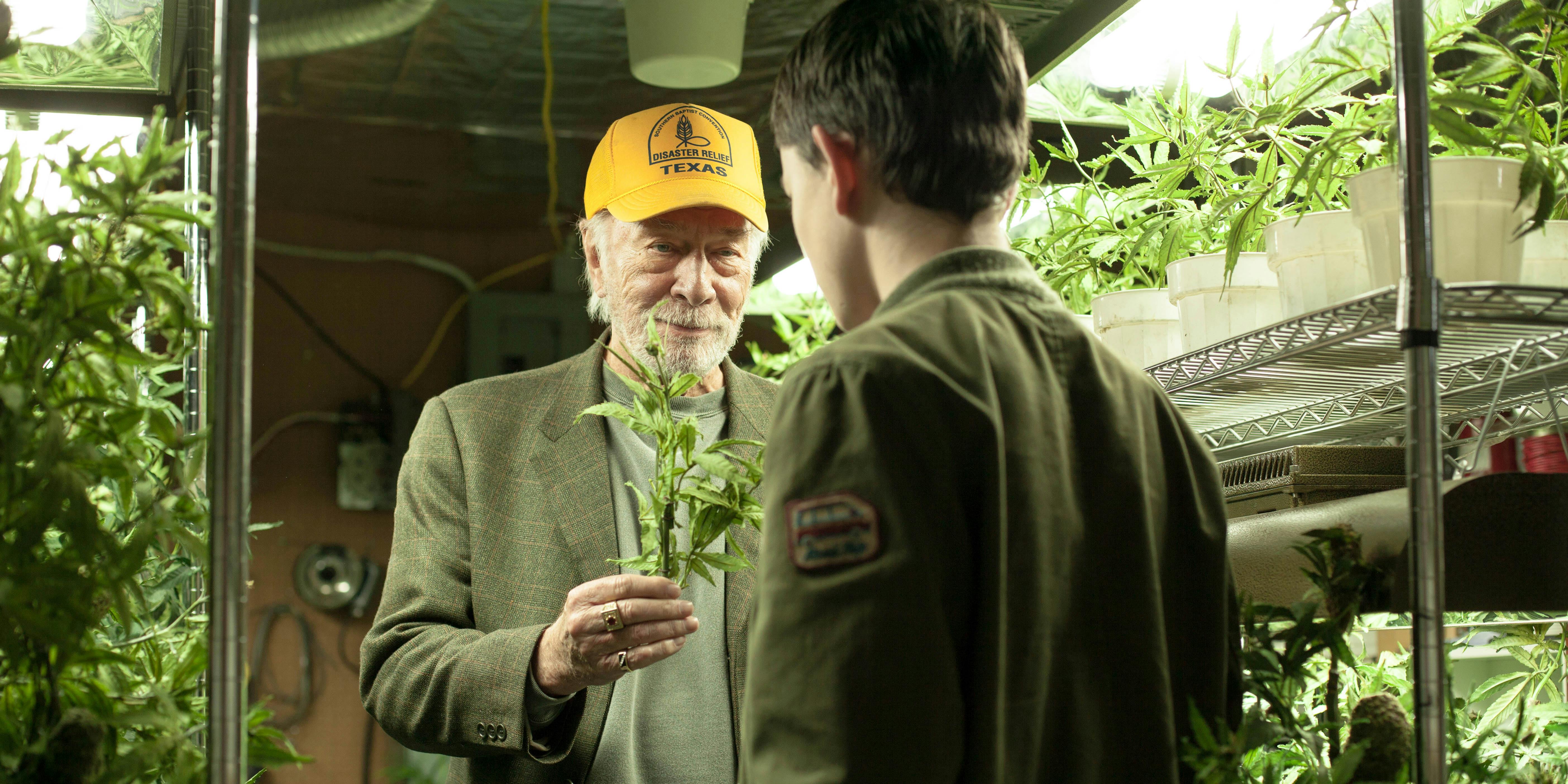 It Turns Out Hollywood's Latest Weed Comedy is Based on a True Story
