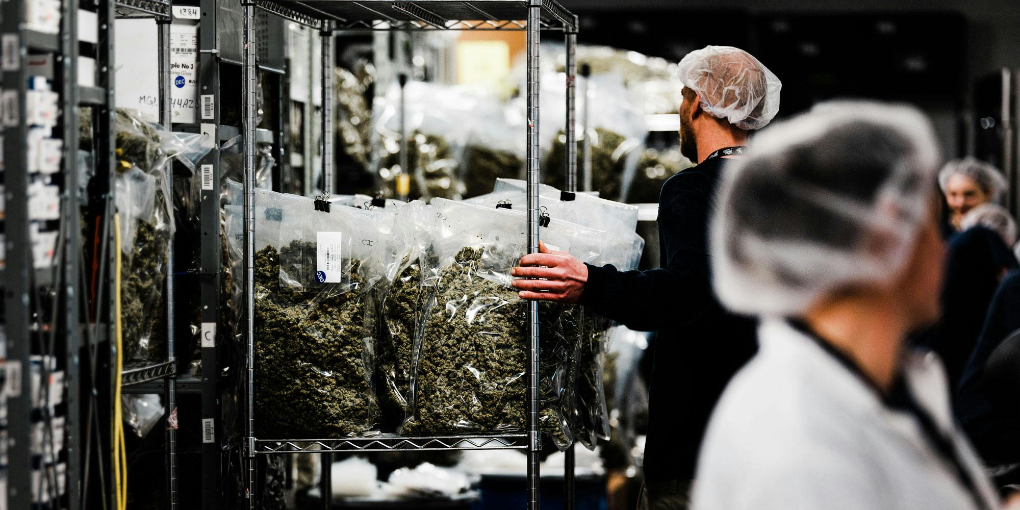 Employees at Tweed, a legal licensed producer in Ontario, ready cannabis for sale. In legal states like Washington, there's stiff competition among growers. This has caused some of them to divert their legal cannabis across state lines