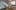 Facebook is Shadow Banning Cannabis Pages 0 Two Men Weighed Cannabis on an NYPD Squad Car in Brooklyn—and Police Found the Video