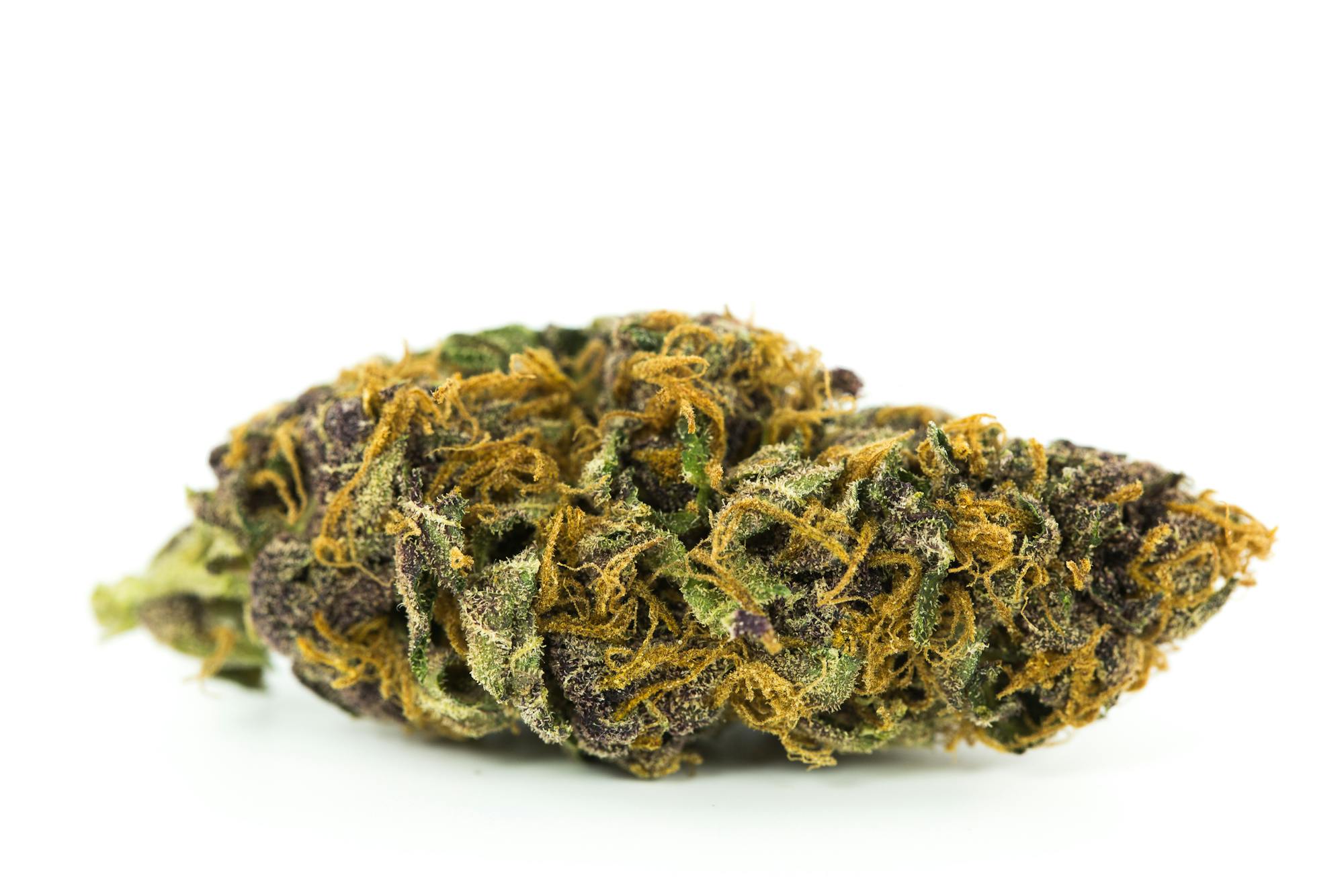 Pinkman Goo Strain Of Marijuana Weed Cannabis Herb Herb pinkman-goo-strain-of-marijuana-weed-cannabis-herb-herb