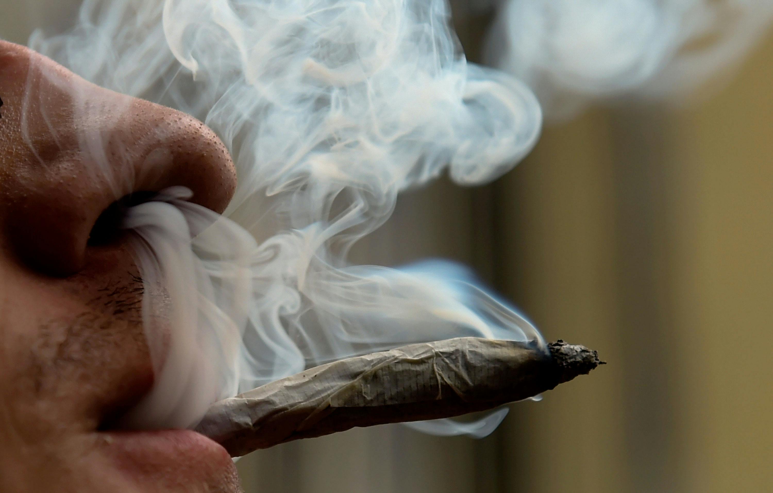 1 5 Shutdowns to Marijuana Myths Every Cannabis Enthusiast Should Know 5 Shutdowns to Marijuana Myths Every Cannabis Enthusiast Should Know