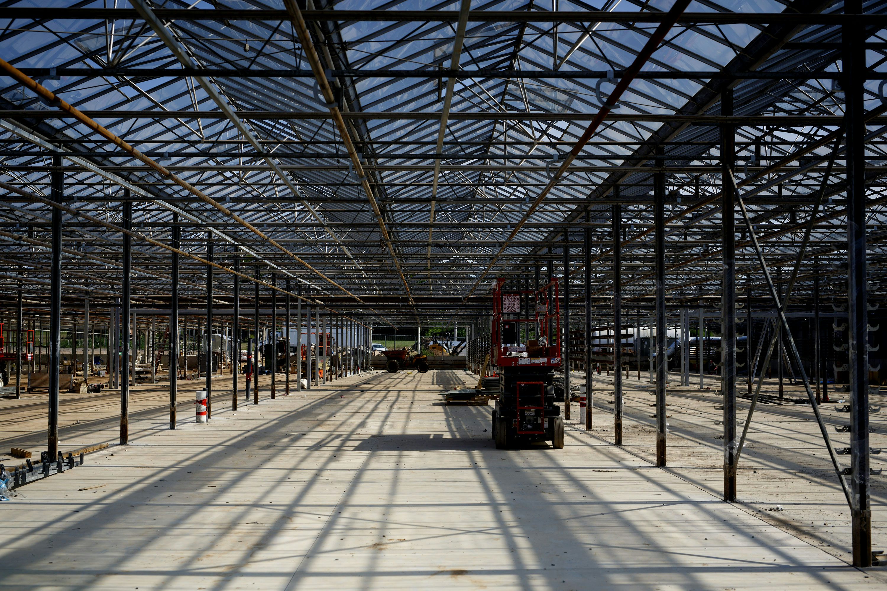 1 The 5 Biggest Effects of Cannabis Legalization in America These Are The Best Cannabis Strains for ADHD/ ADD