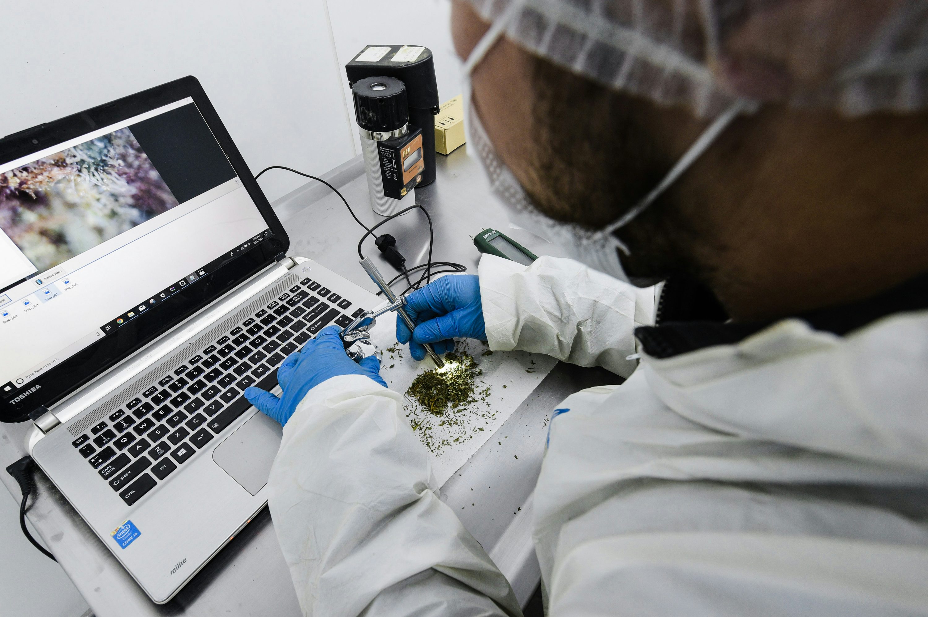 5 Shutdowns to Marijuana Myths Every Cannabis Enthusiast Should Know 1 5 Shutdowns to Marijuana Myths Every Cannabis Enthusiast Should Know