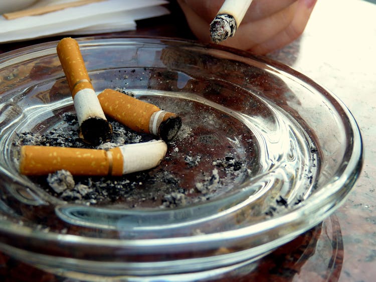 5 Underrated Uses for CBD You Probably Don%E2%80%99t Know About2 Cheech and Chong, the Cannabis Voter Project Want You to Vote This November