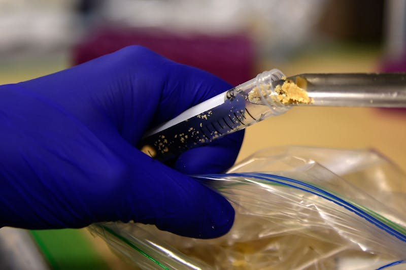 Cannabis Edibles Cause Spike in Emergency Room Visits%E2%80%94But Who%E2%80%99s to Blame Cannabis Edibles Cause Spike in Emergency Room Visits—But Whos to Blame?