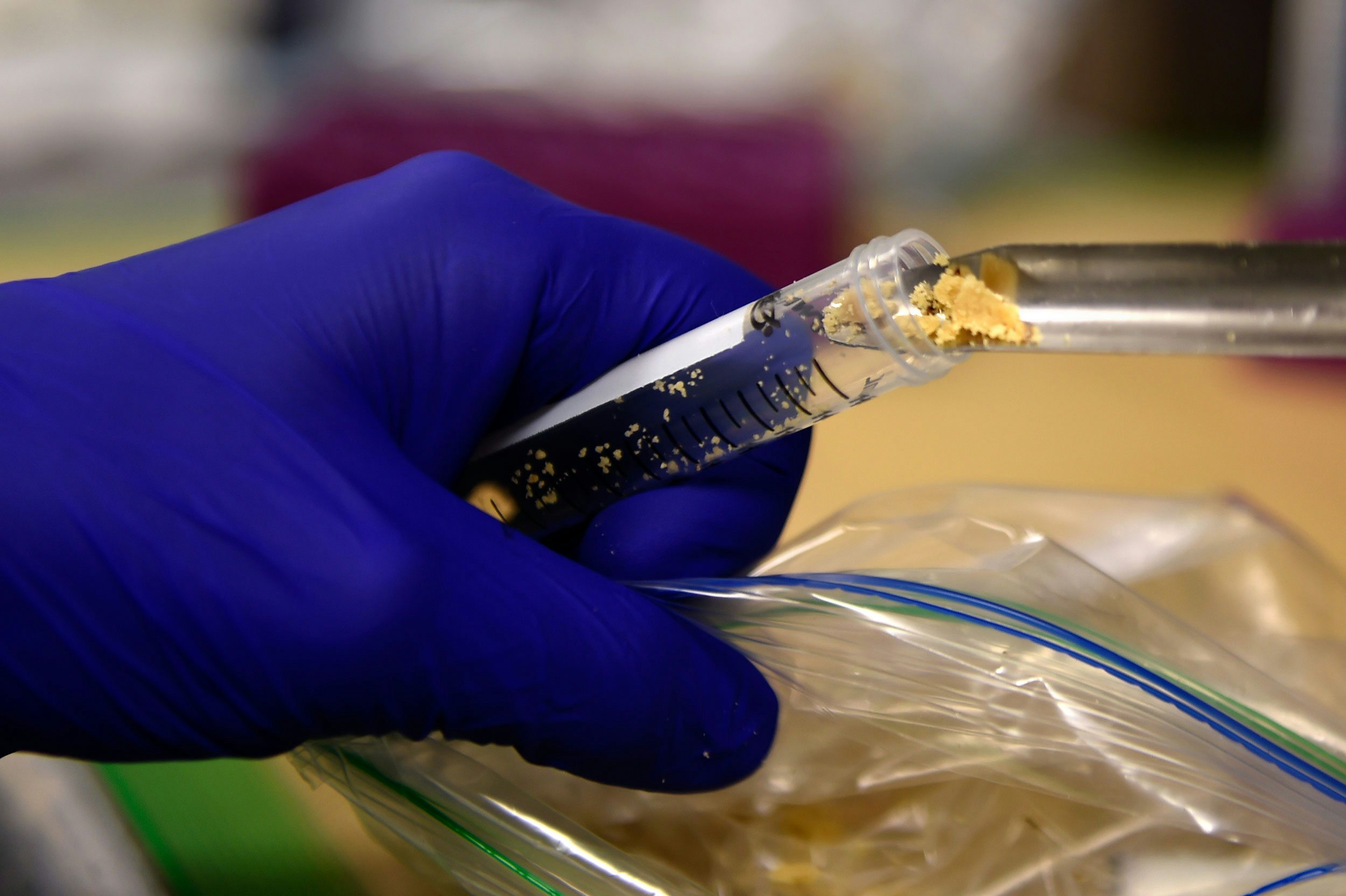 Cannabis Edibles Cause Spike in Emergency Room Visits%E2%80%94But Who%E2%80%99s to Blame These Are The Best Cannabis Strains for ADHD/ ADD