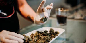 Dispensaries in BC: Where to Buy Weed in British Columbia