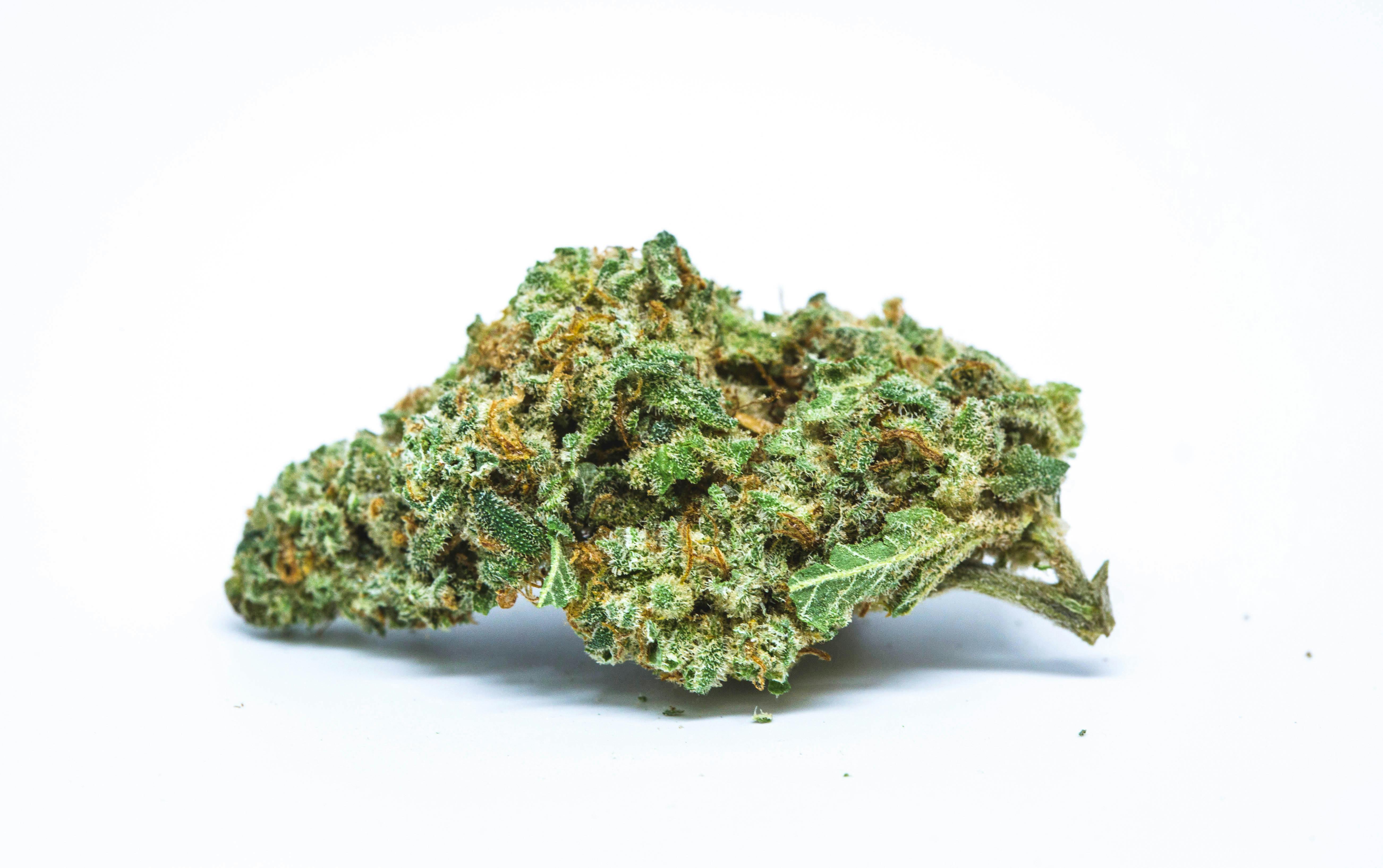 Headband Marijuana Strain These Are The Best Cannabis Strains for ADHD/ ADD