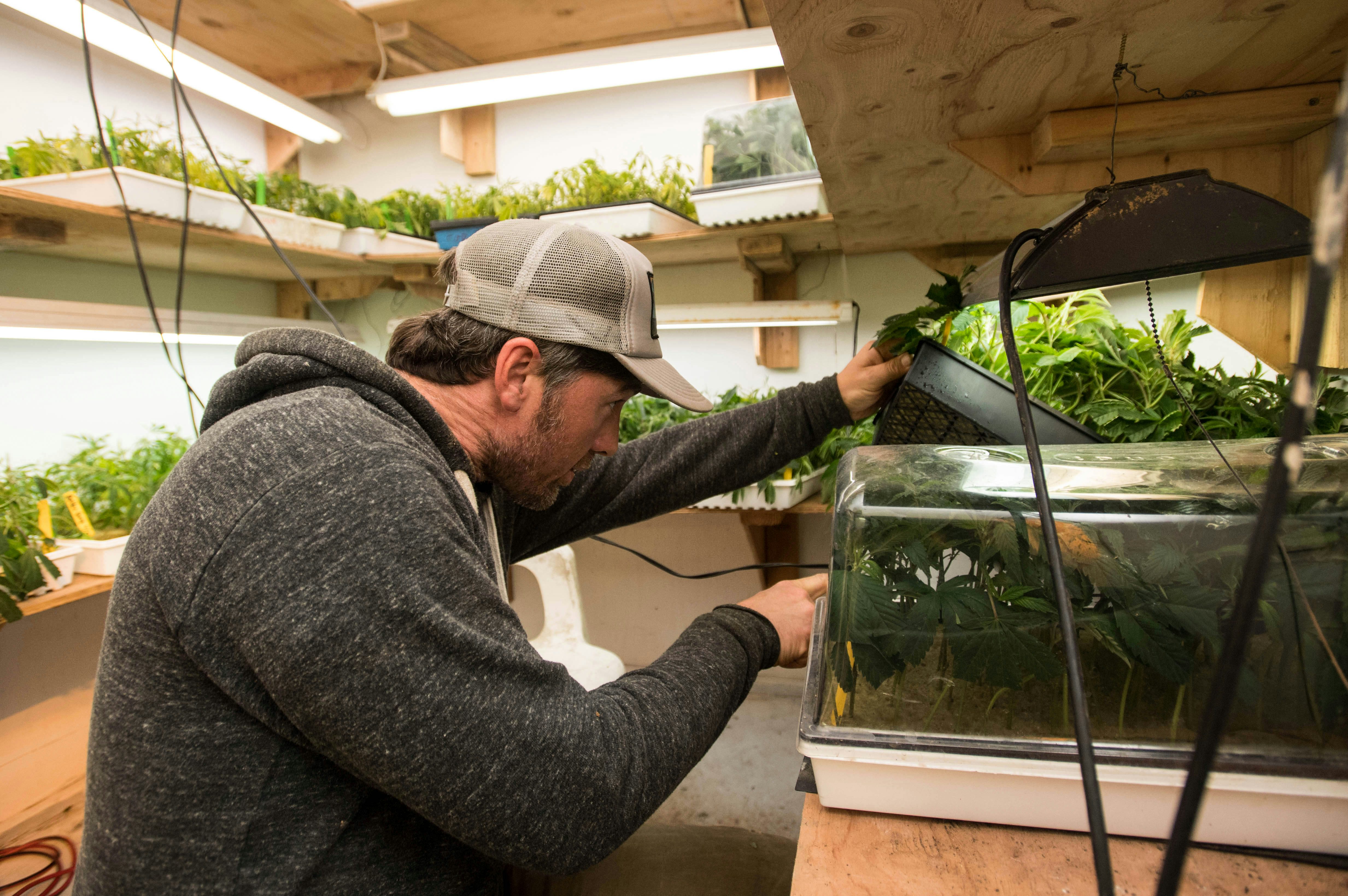 Modern Day Weed vs. Hippie Weed1 Watch Snoop Dogg Smoke A Blunt In Front Of The White House