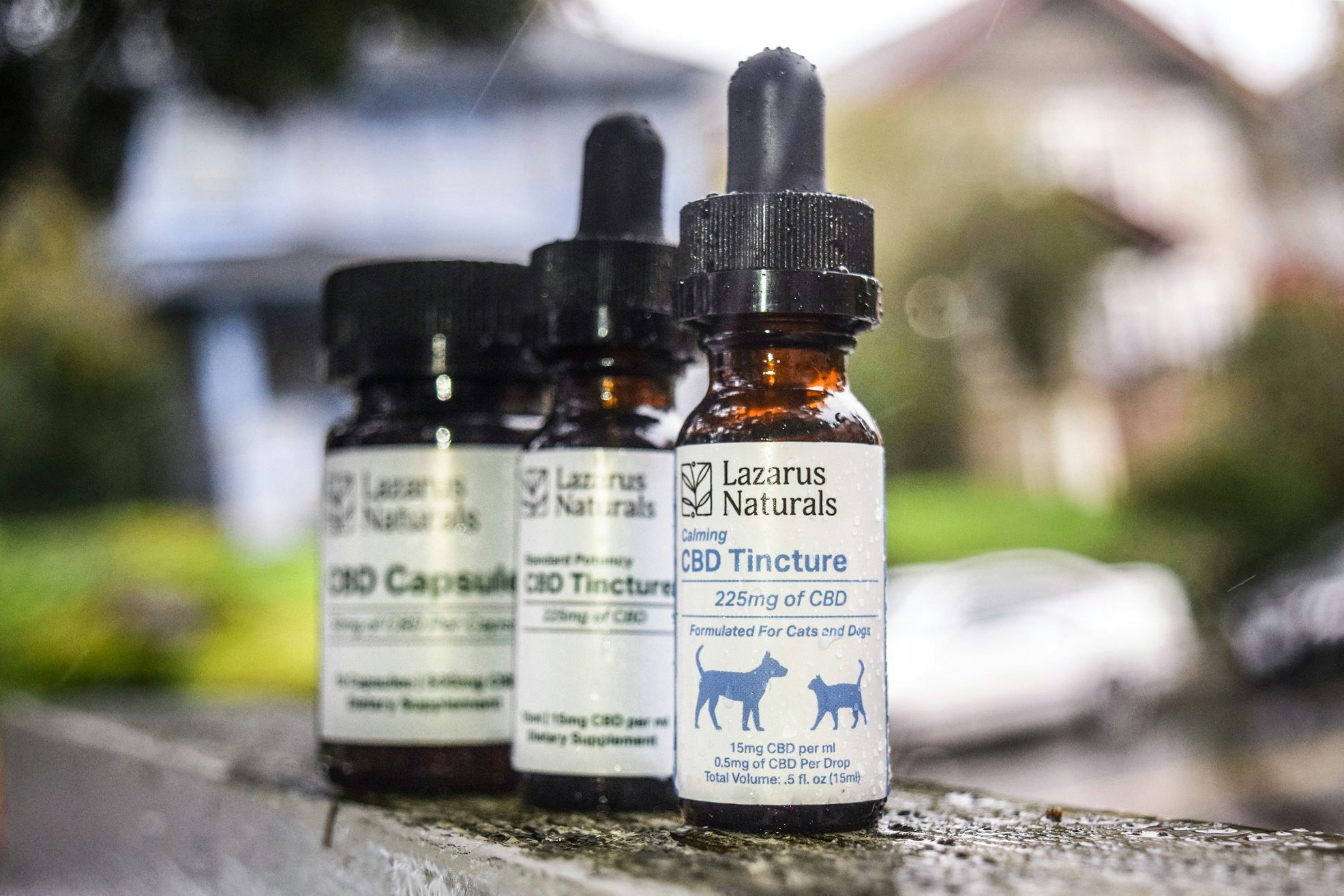 The Best Black Friday CBD Deals Online4 Herbs Complete Guide To The Best Black Friday CBD Deals Online