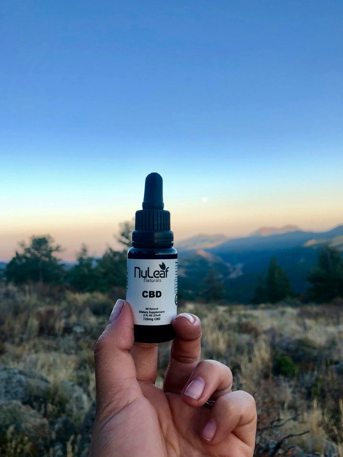 The Best Black Friday CBD Deals Online7 Herbs Complete Guide To The Best Black Friday CBD Deals Online