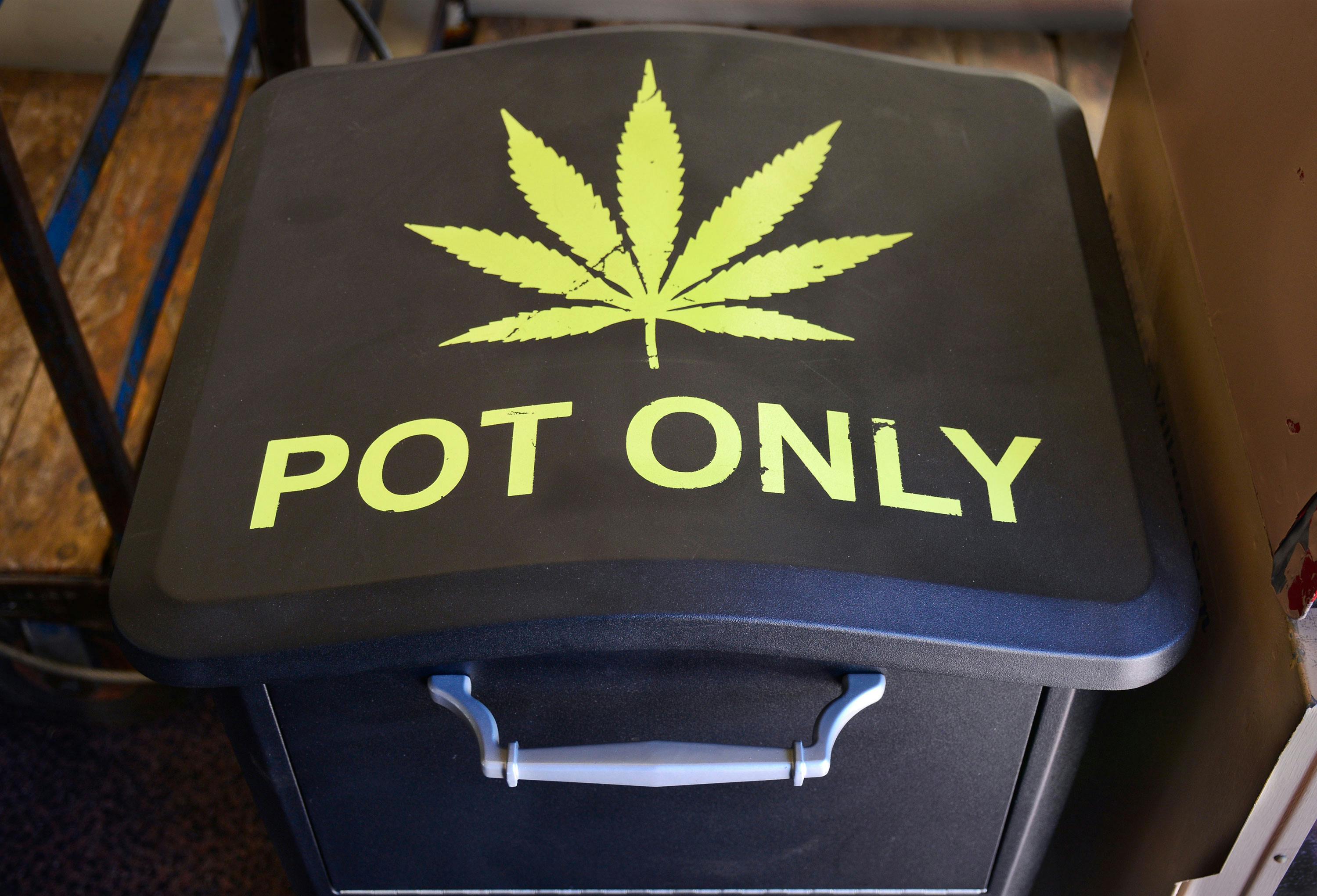 This Major City is Rumored to Have a “Free Weed Bin”