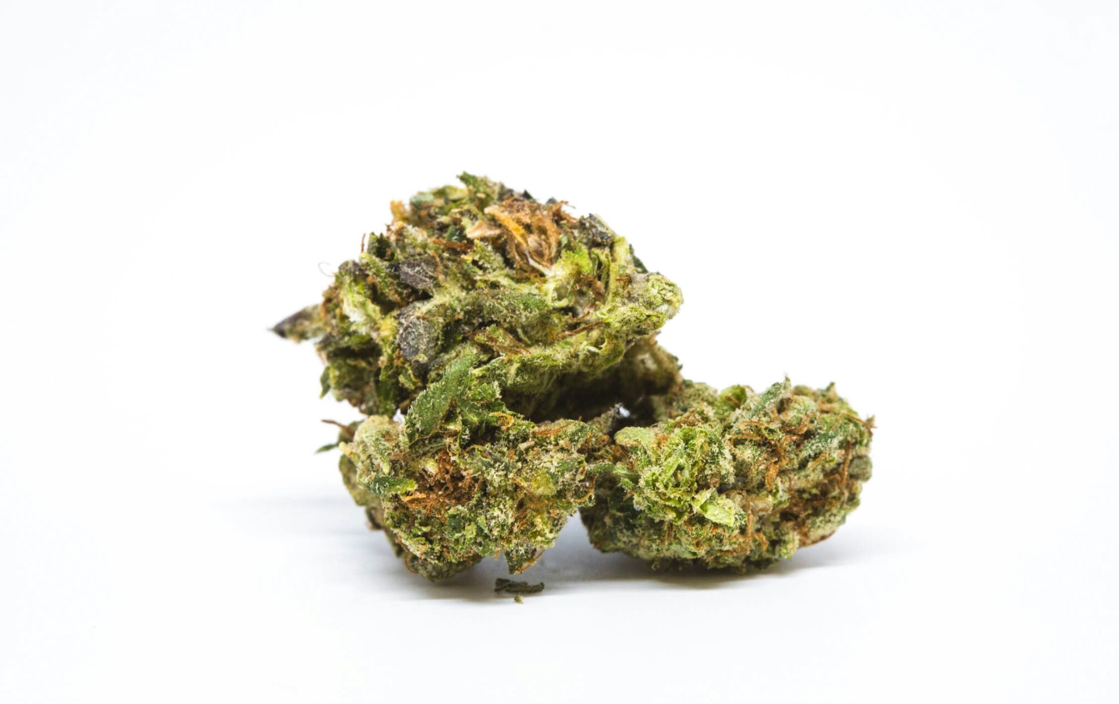 big blue Watch Snoop Dogg Smoke A Blunt In Front Of The White House