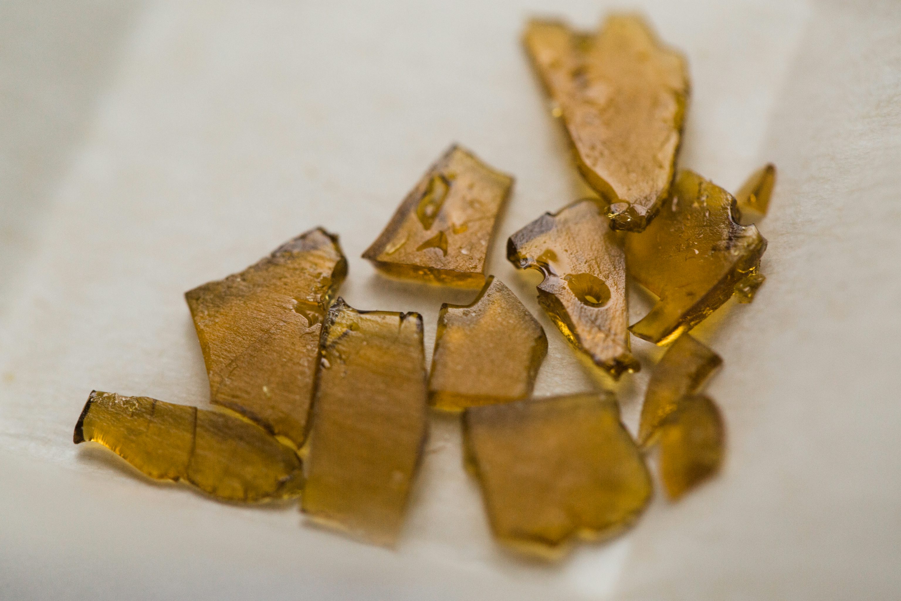 What is Shatter and How is it Different From Other Extracts? | Herb | Herb