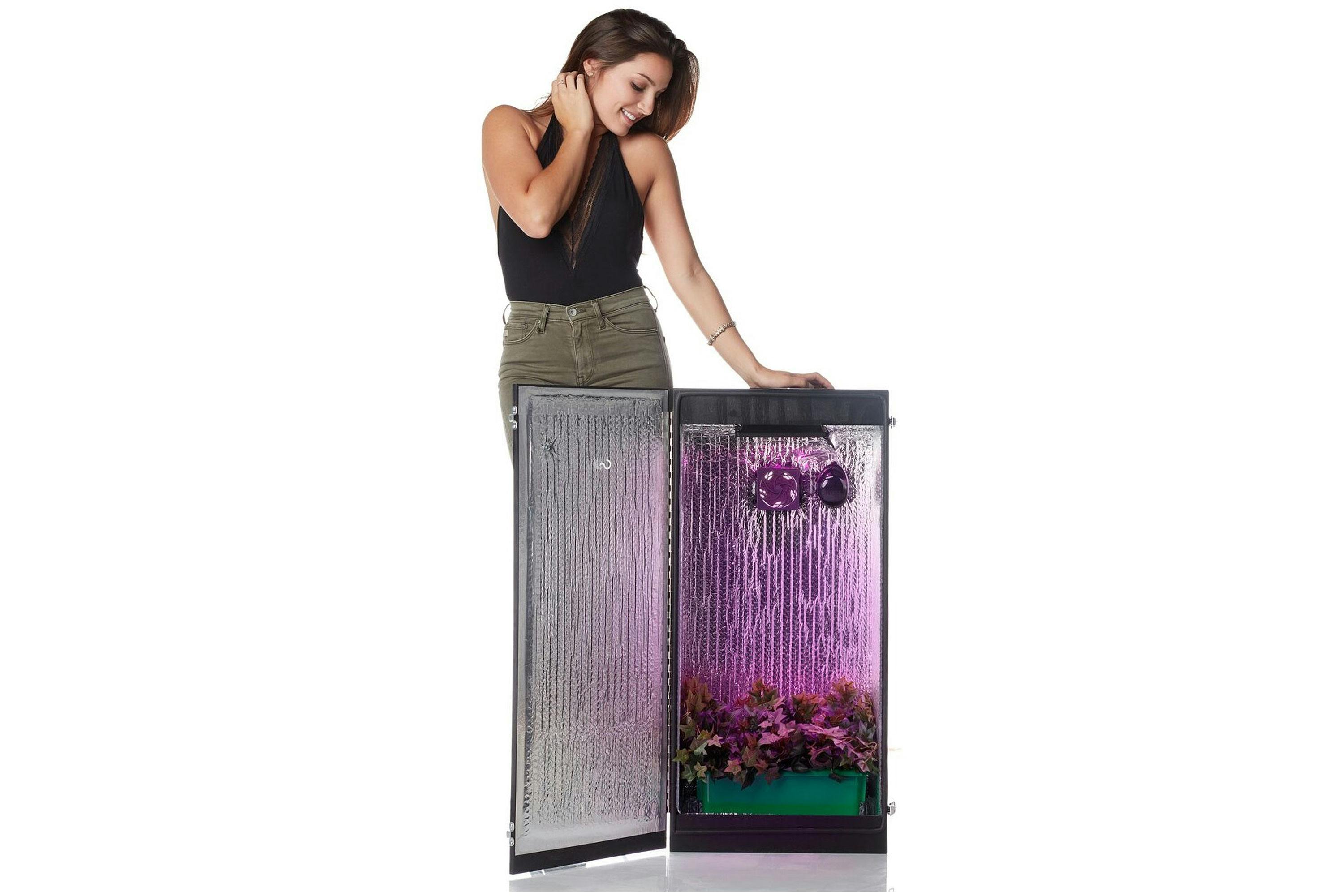 CC2 Grow Box Best Grow Box for Beginners