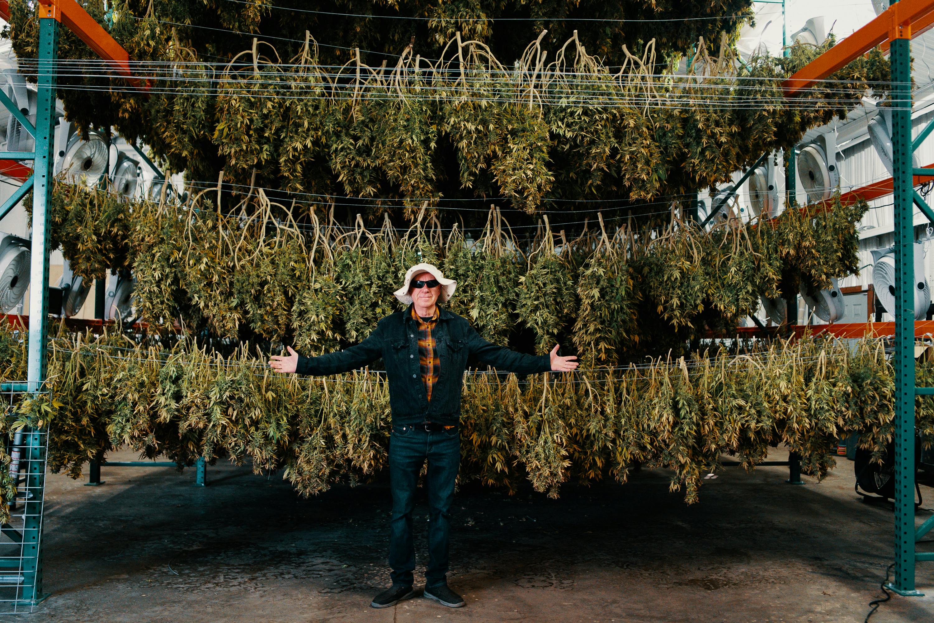 Ed Rosenthal is seen in front of cannabis plants