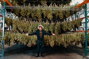 Cannabis Legend Ed Rosenthal Gives Us Tips for the Perfect Grow