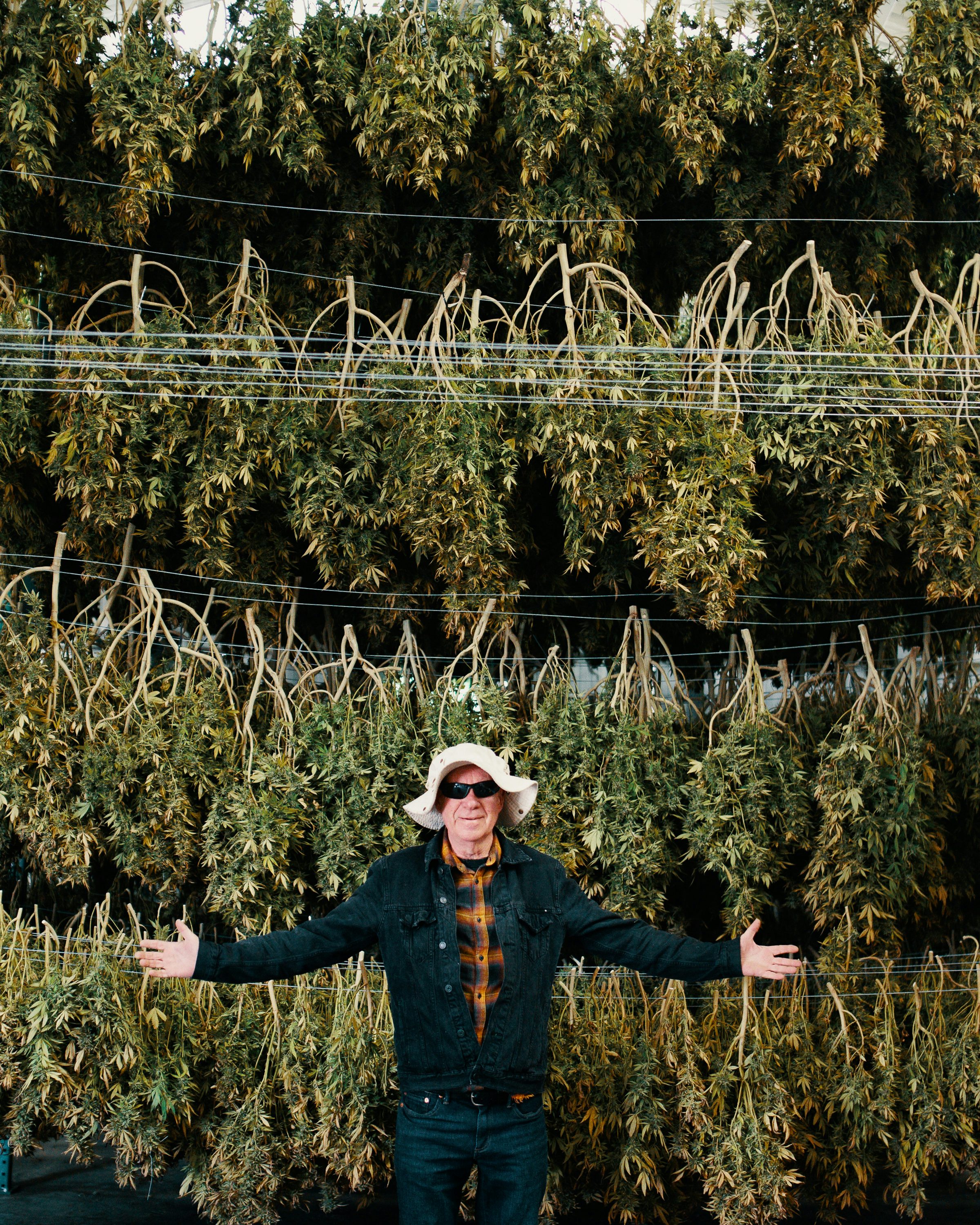 Ed Rosenthal Answers Our Questions7 Cannabis Legend Ed Rosenthal Gives Us Tips for the Perfect Grow