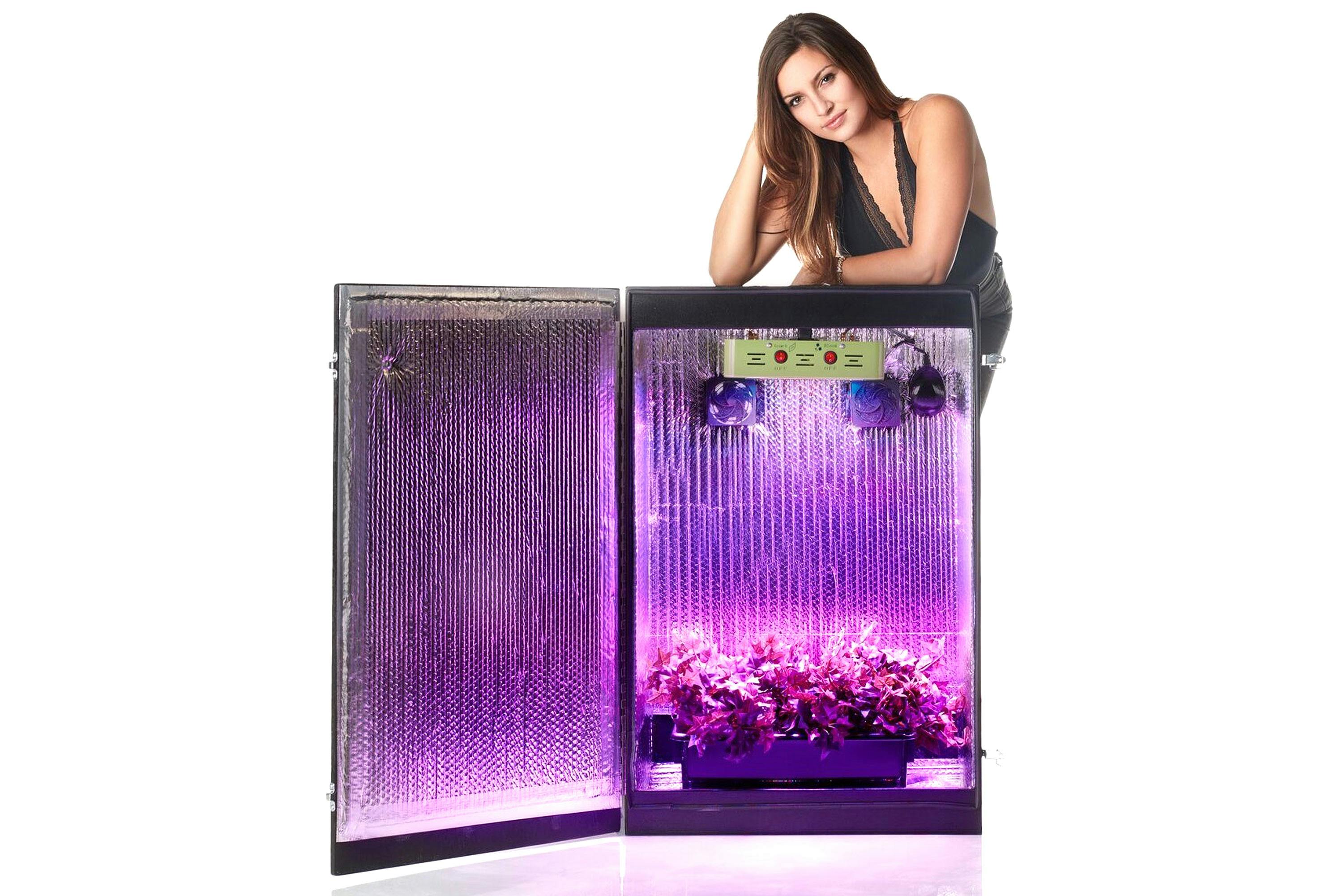 GSG4 Grow Box Best Grow Box for Beginners