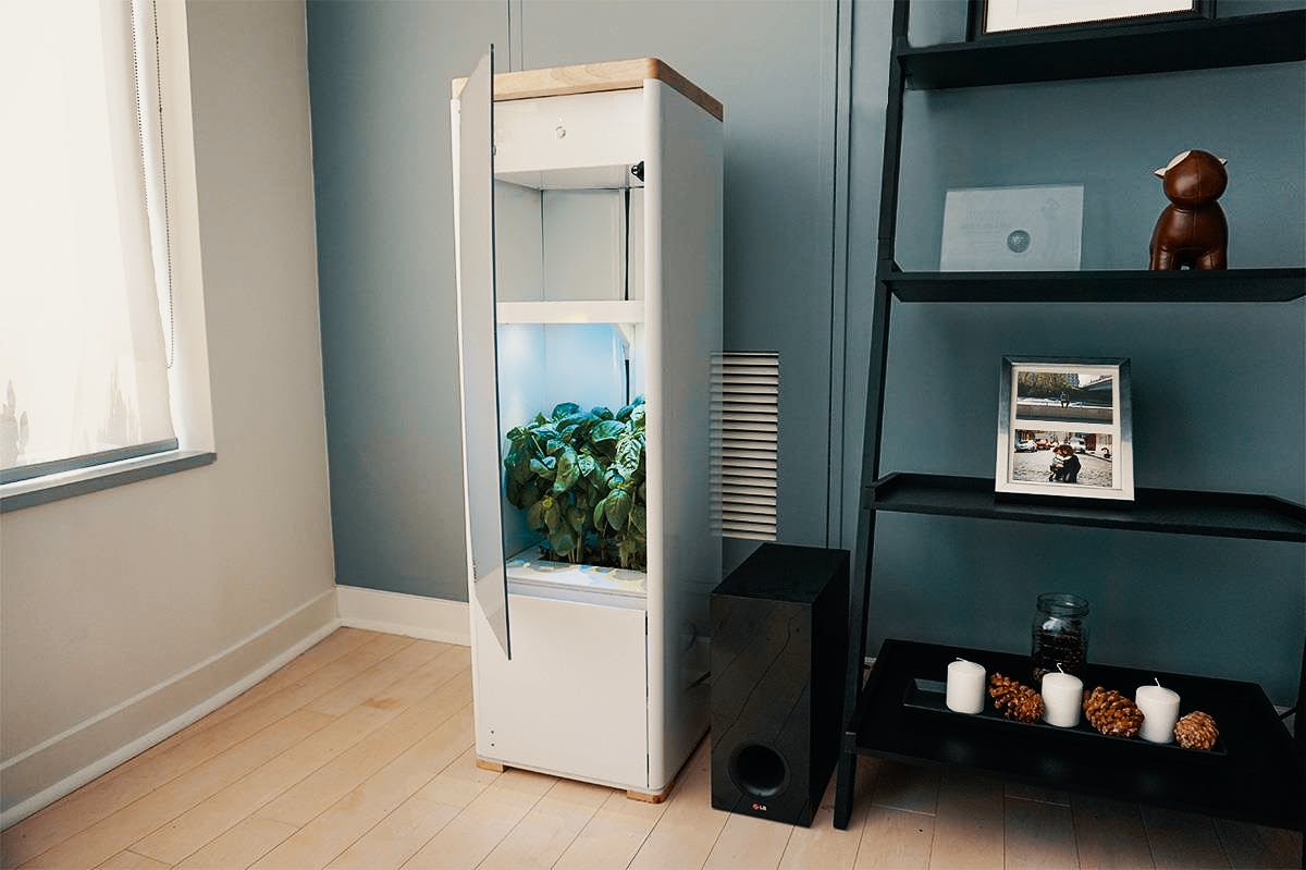 In this article, we cover what's makes for the best grow box for beginners. Here, a grow box is shown in someone's home