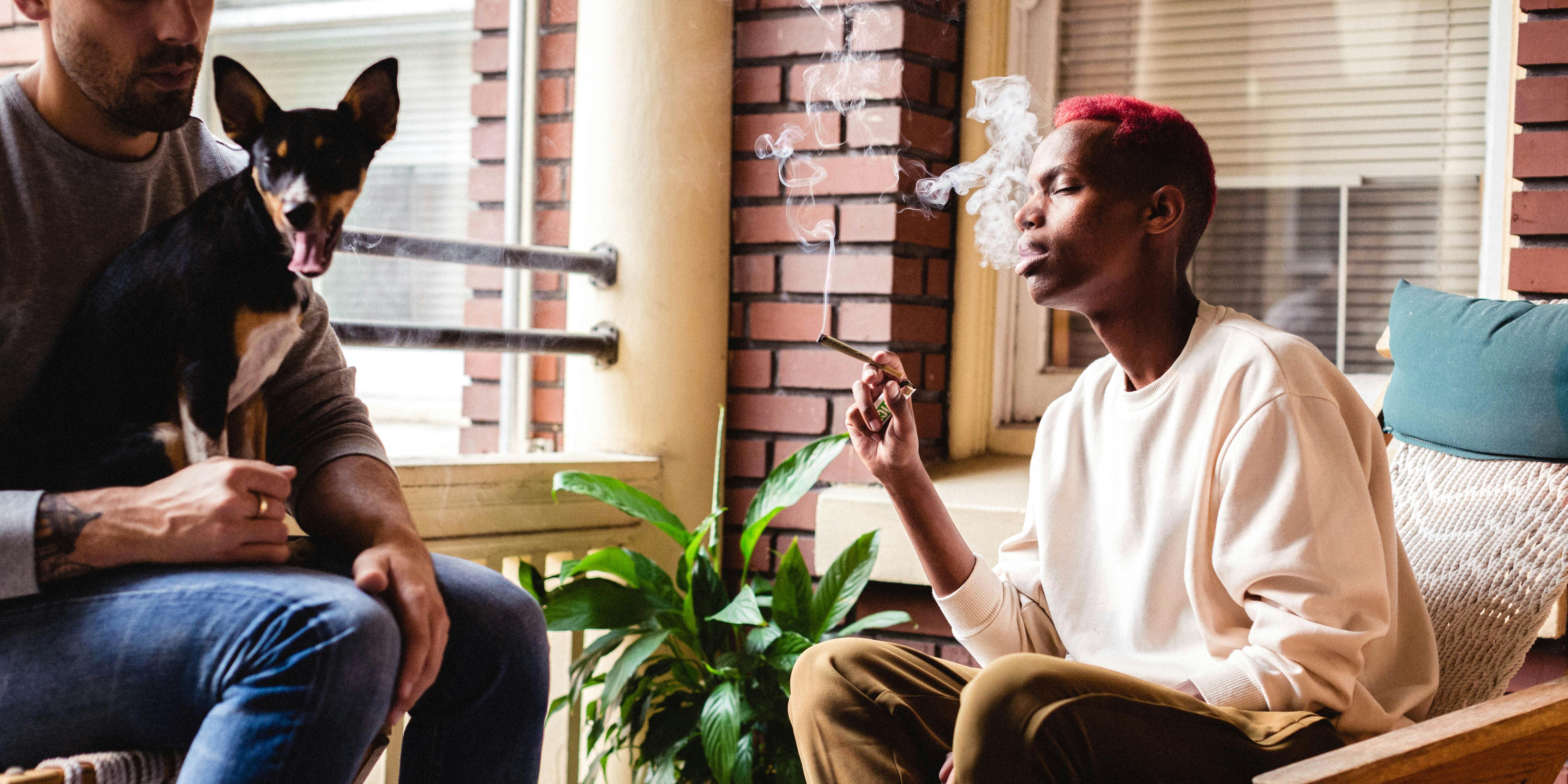 In this article we explore the health benefits of marijuana. Here, a man smokes a joint on the couch with his friend