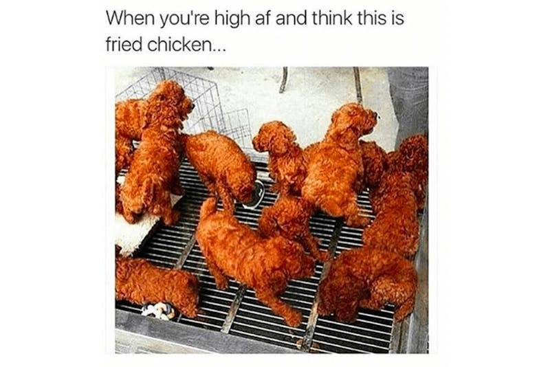 100 best weed memes