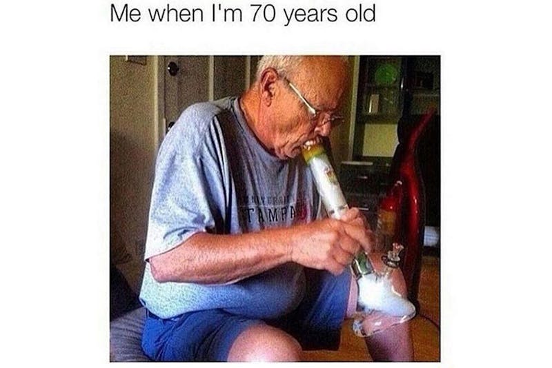 100 best weed memes
