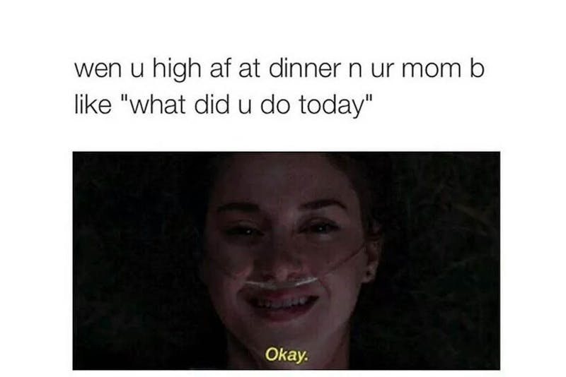 The 100 Best Weed Memes For True Herb Enthusiasts