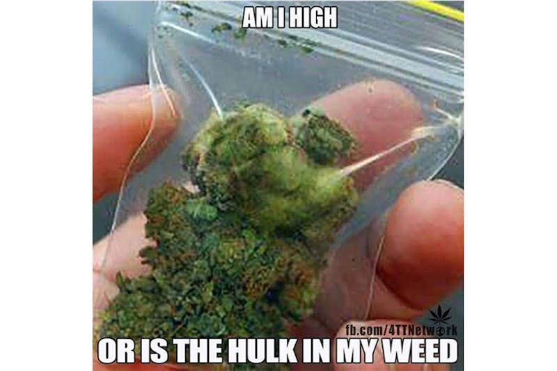 100 best weed memes