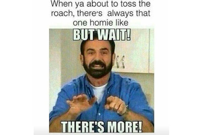The 100 Best Weed Memes For True Herb Enthusiasts