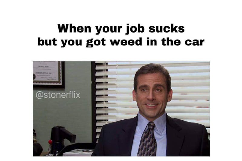 The 100 Best Weed Memes For True Herb Enthusiasts