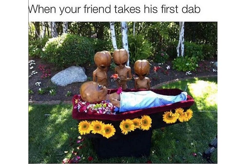 The 100 Best Weed Memes For True Herb Enthusiasts