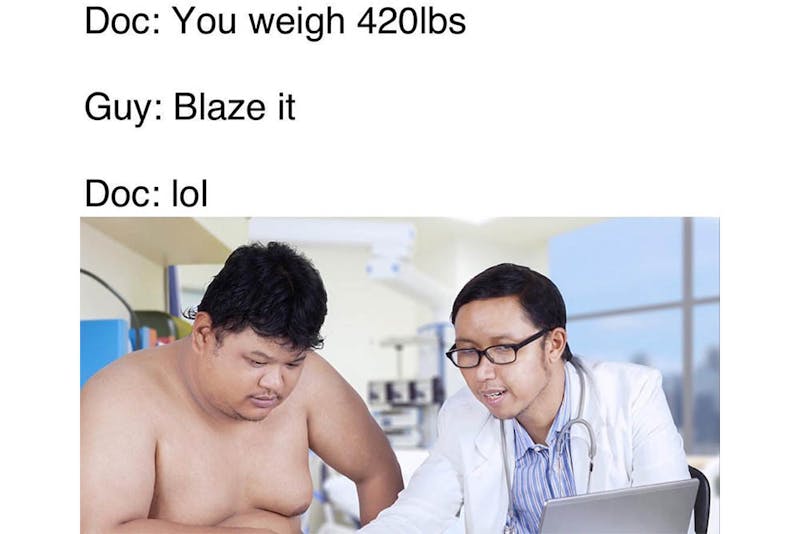 The 100 Best Weed Memes For True Herb Enthusiasts