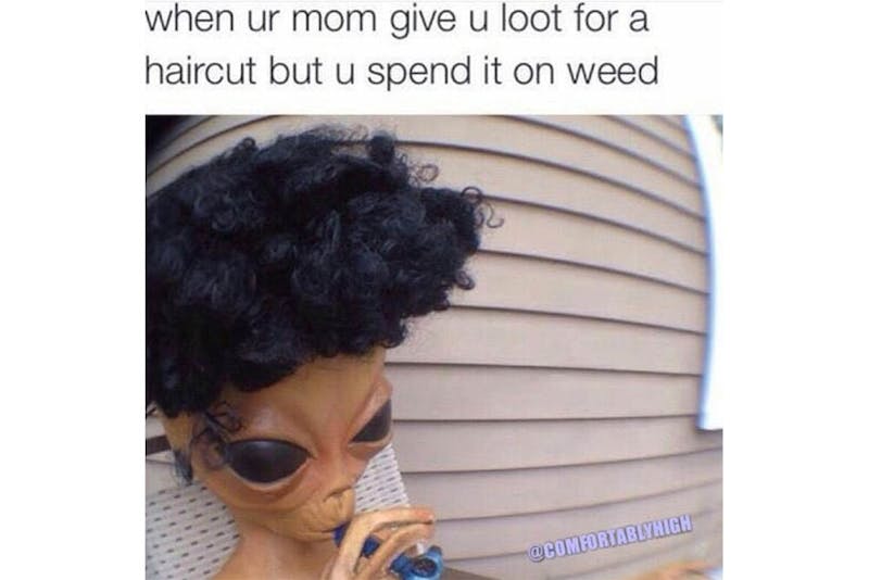 The 100 Best Weed Memes For True Herb Enthusiasts